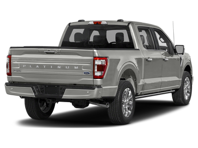 2021 Ford F-150 Platinum 4WD