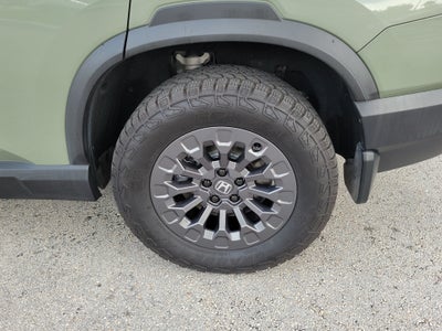 2026 Honda Passport TrailSport