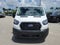 2025 Ford Transit Cargo Van T-250 130" Low Rf 9070 GVWR RWD