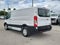 2024 Ford Transit Cargo Van T-250 130" Low Rf 9070 GVWR RWD