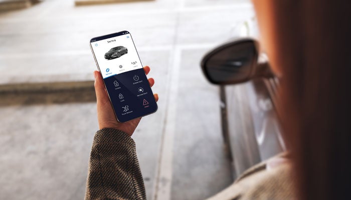 Lorenzo Nissan in Homestead FL