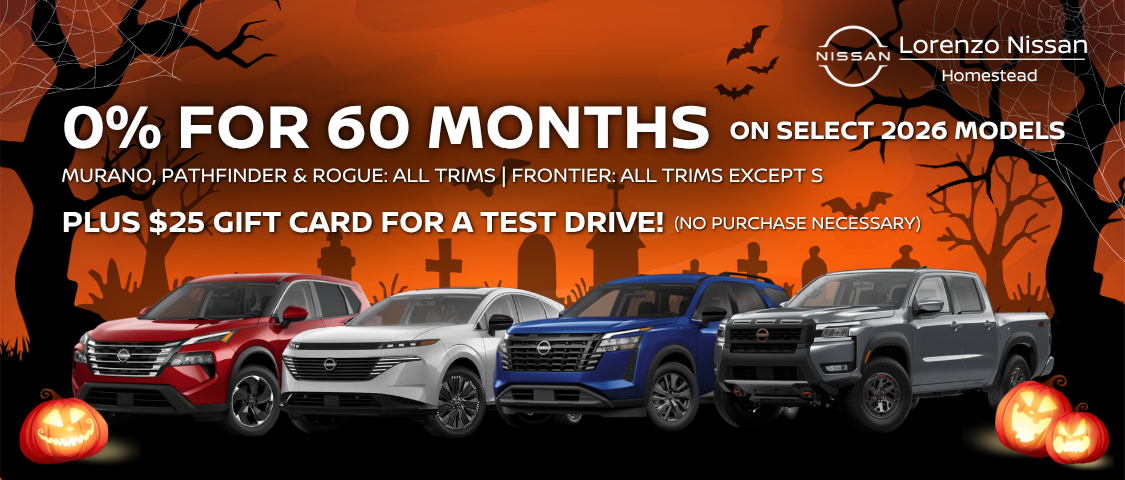 Halloween Special Offer
